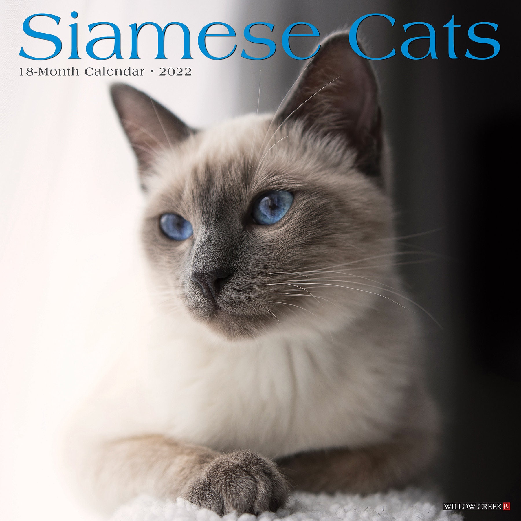 Siamese Cats 2022 Wall Calendar Cat Breed Etsy