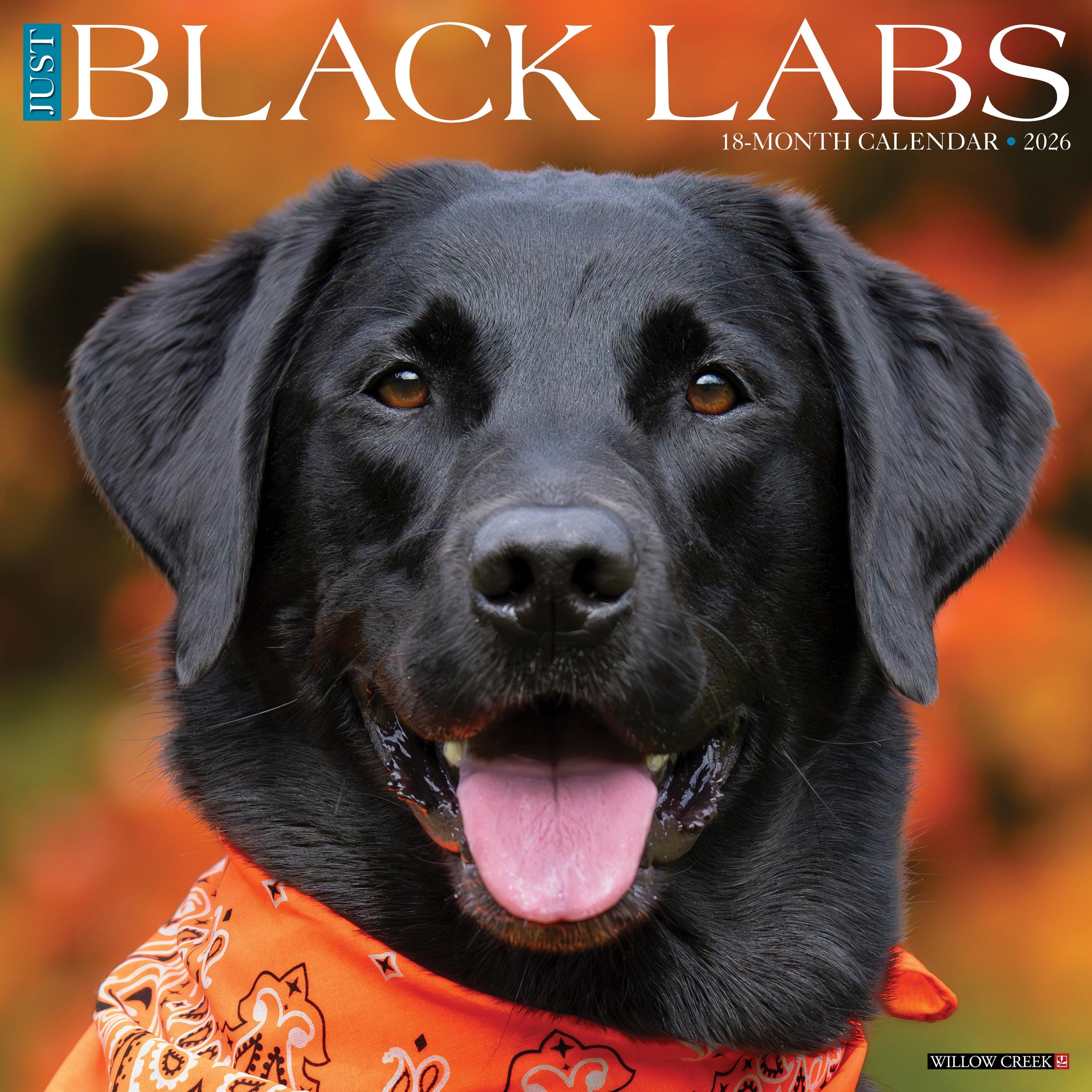 Black Labrador Retrievers 2025 Planner - BrownTrout Dog Lovers Calendar & Organizer