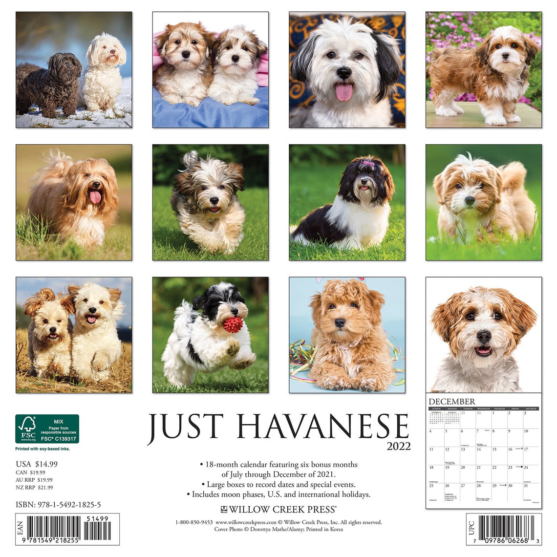 Just Havanese 2022 Wall Calendar Dog Breed Etsy