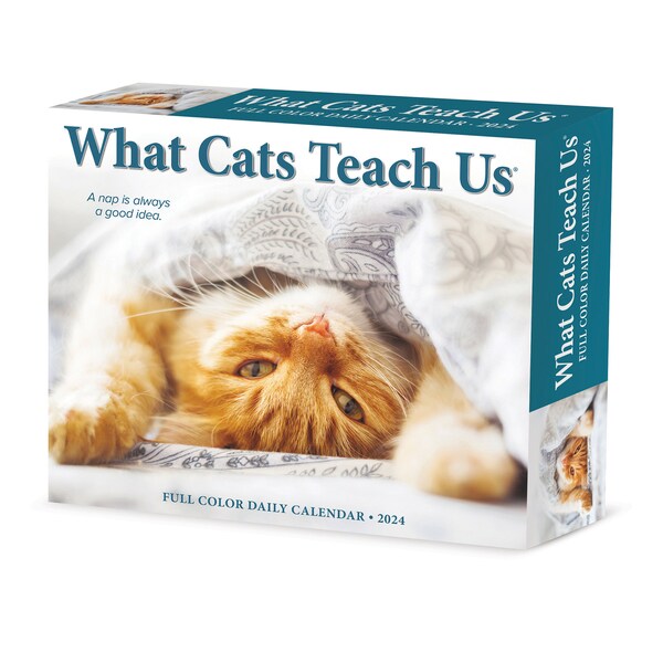 2024 Cat Calendar Desk Etsy