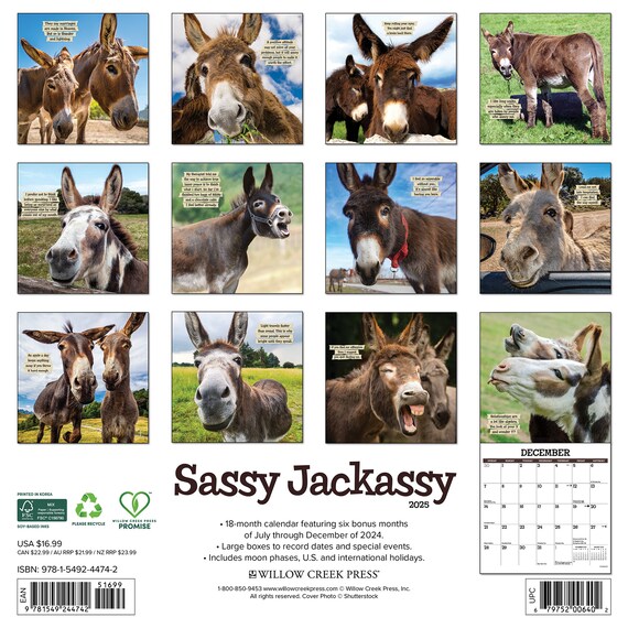 絶対的な信頼 Sassy Jackassy 2025 12 手帳・カレンダー
