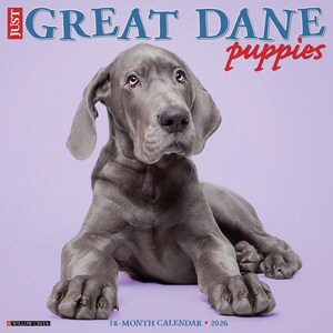 Great Dane Puppies 2026 12&quot; x 12&quot; Wall Calendar