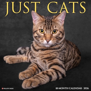 Cats 2026 12&quot; x 12&quot; Wall Calendar