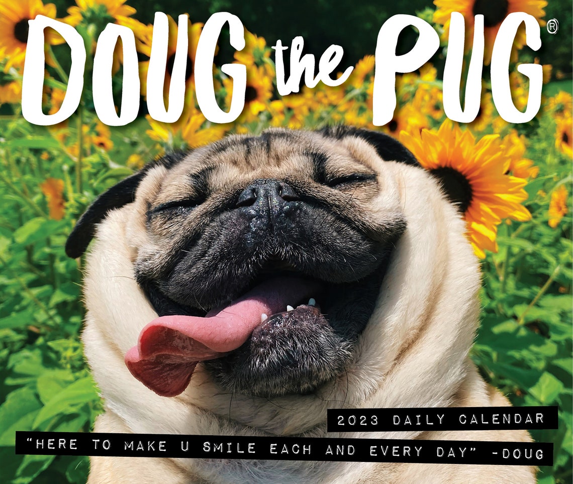 doug-the-pug-2023-6-2-x-5-4-box-calendar-usa-etsy