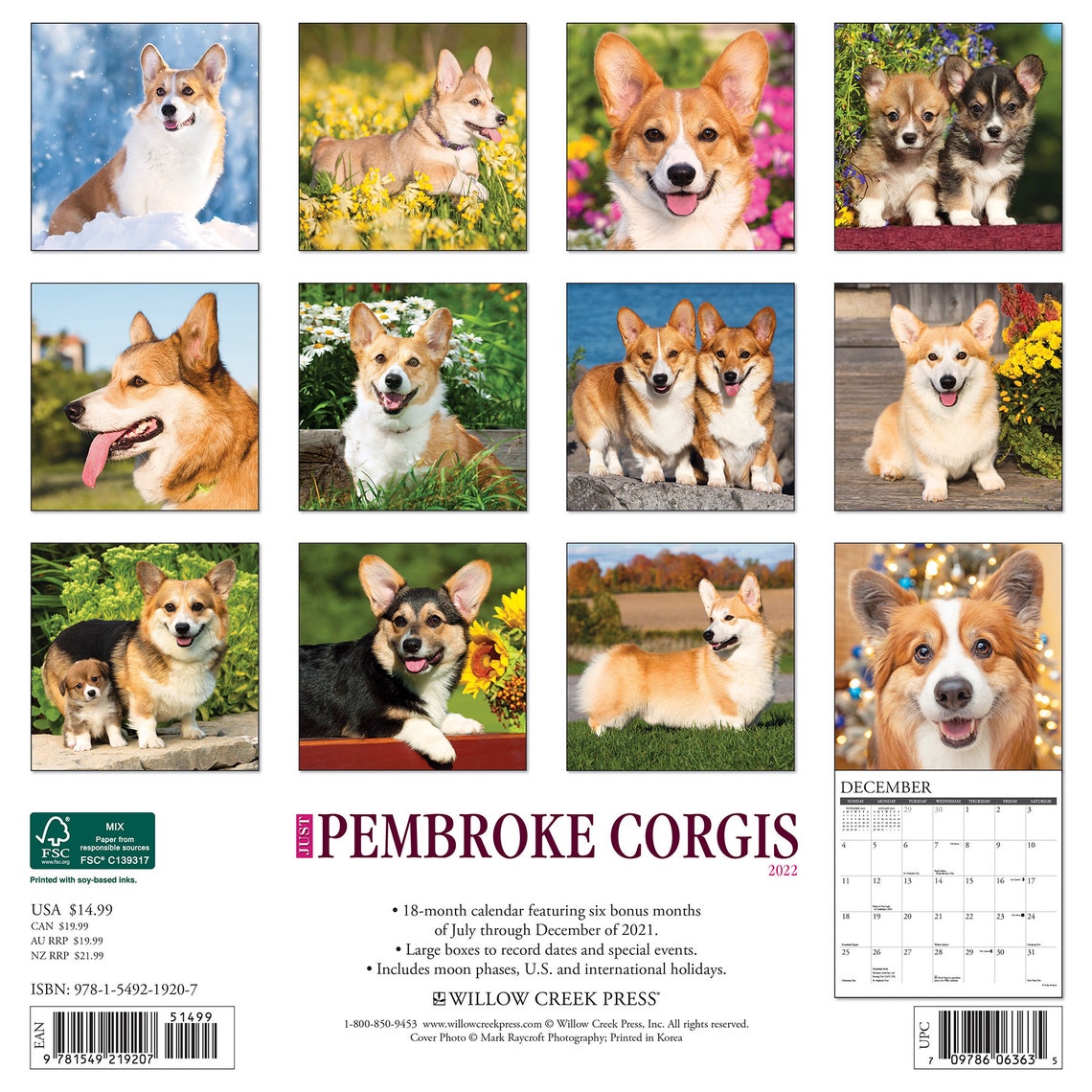 Just Pembroke Corgis 2022 Wall Calendar Dog Breed | Etsy