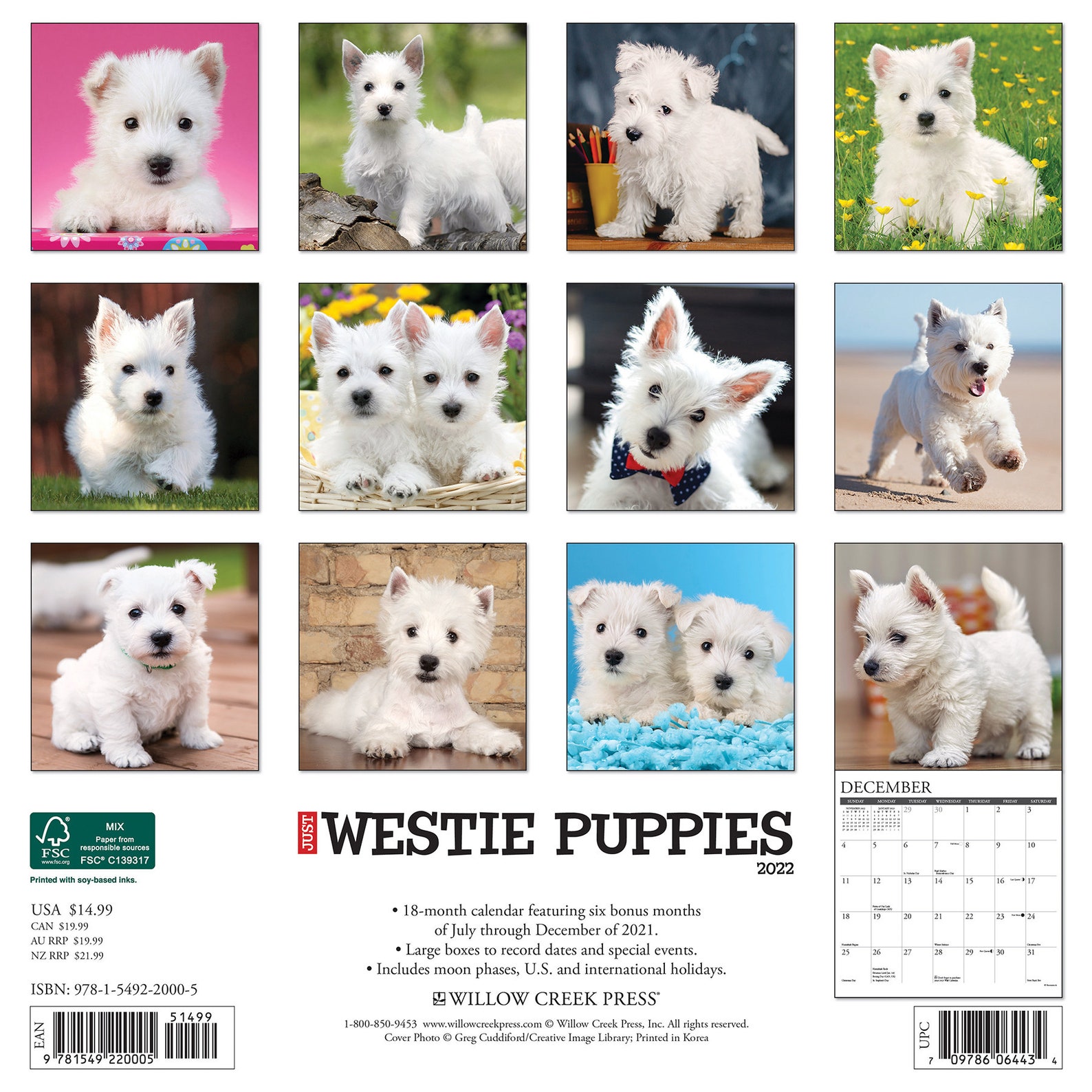 Just Westie Puppies 2022 Wall Calendar dog Breed Etsy