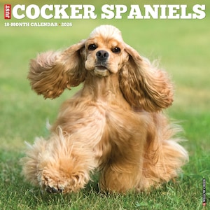 Cocker Spaniels 2026 12&quot; x 12&quot; Wall Calendar
