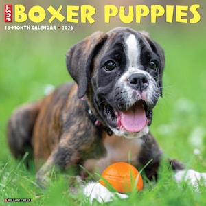 Boxer Puppies 2026 12&quot; x 12&quot; Wall Calendar