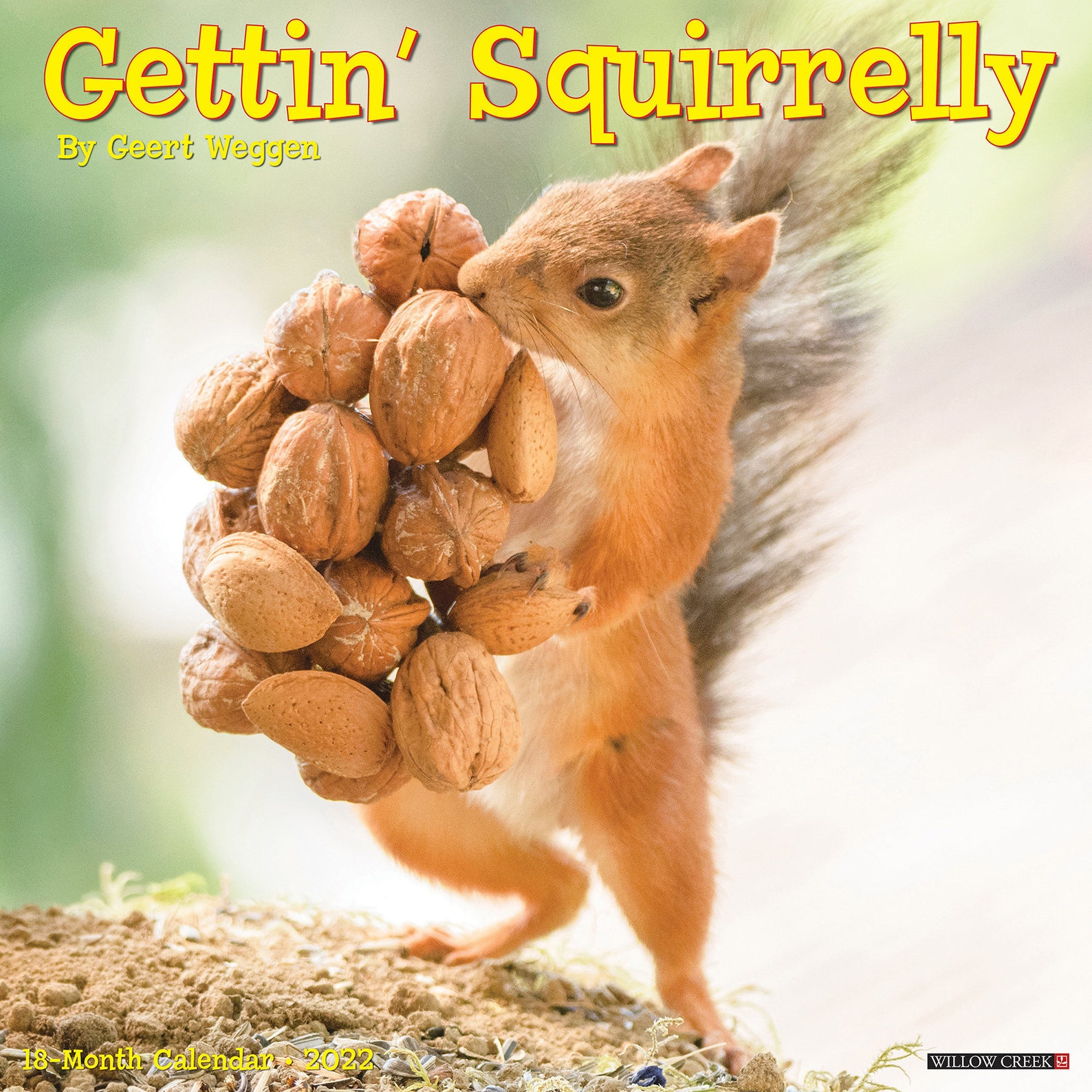 Gettin' Squirrelly 2022 Wall Calendar squirrels | Etsy