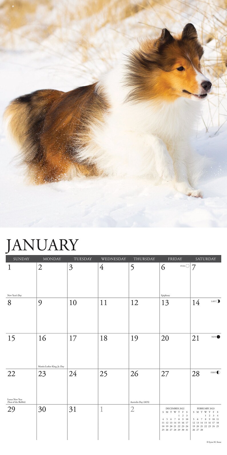 Just Shelties 2023 12 X 12 Wall Calendar Etsy