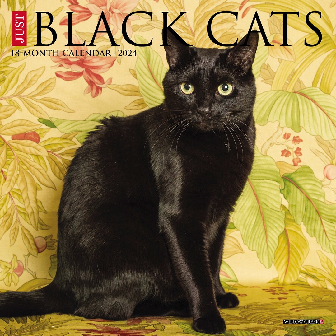 Just Black Cats 2024 7 X 7 Mini Wall Calendar Etsy