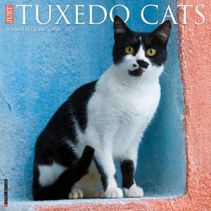 May include: An 18-month 2027 calendar titled JUST TUXEDO CATS featuring a black and white cat with yellow eyes sitting in a blue alcove framed by orange walls. The cat has a black patch on its nose and white fur on its chest and face.