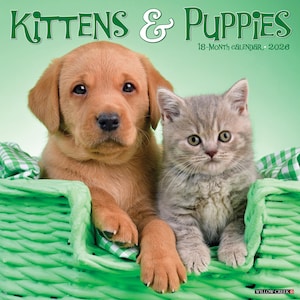 Kittens & Puppies 2026 12&quot; x 12&quot; Wall Calendar
