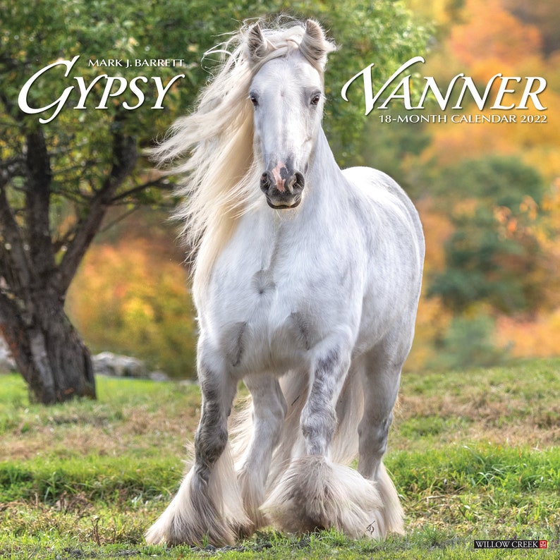 Gypsy Vanner Horse 2022 Wall Calendar Etsy