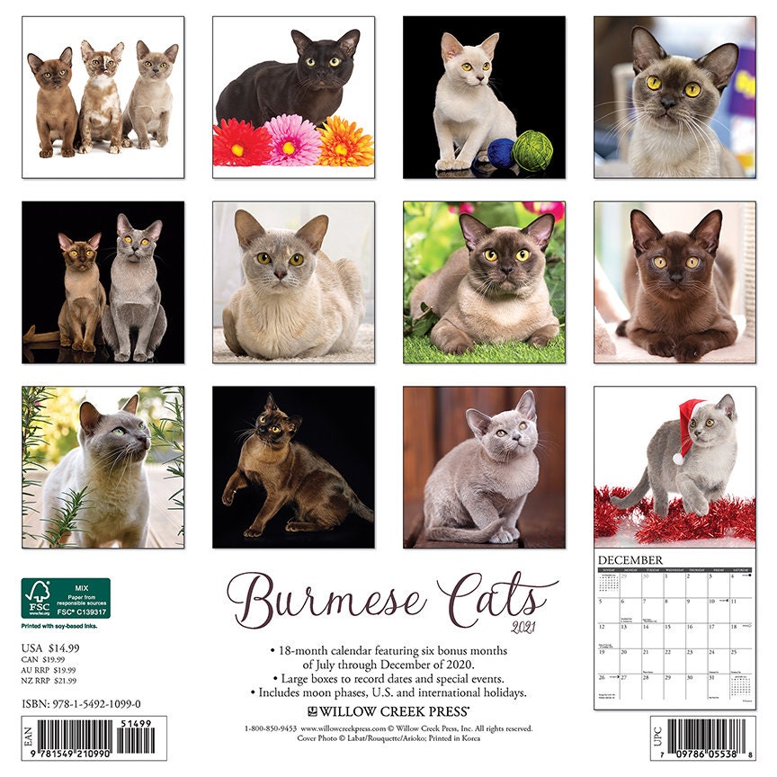 2021 Burmese Cat Wall Calendar Etsy