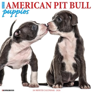 American Pit Bull Terrier Puppies 2026 12&quot; x 12&quot; Wall Calendar