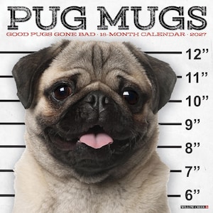 May include: A 2027 18-month calendar titled PUG MUGS GOOD PUGS GONE BAD featuring a fawn pug with a black muzzle and ears against a police lineup background with height markers from 6 to 12 inches. The calendar includes the Willow Creek brand logo.