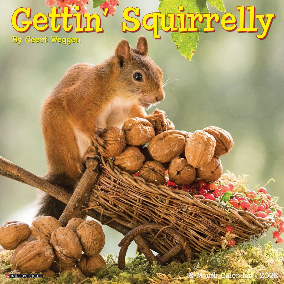 Gettin' Squirrelly 2023 12 X 12 Wall Calendar Etsy