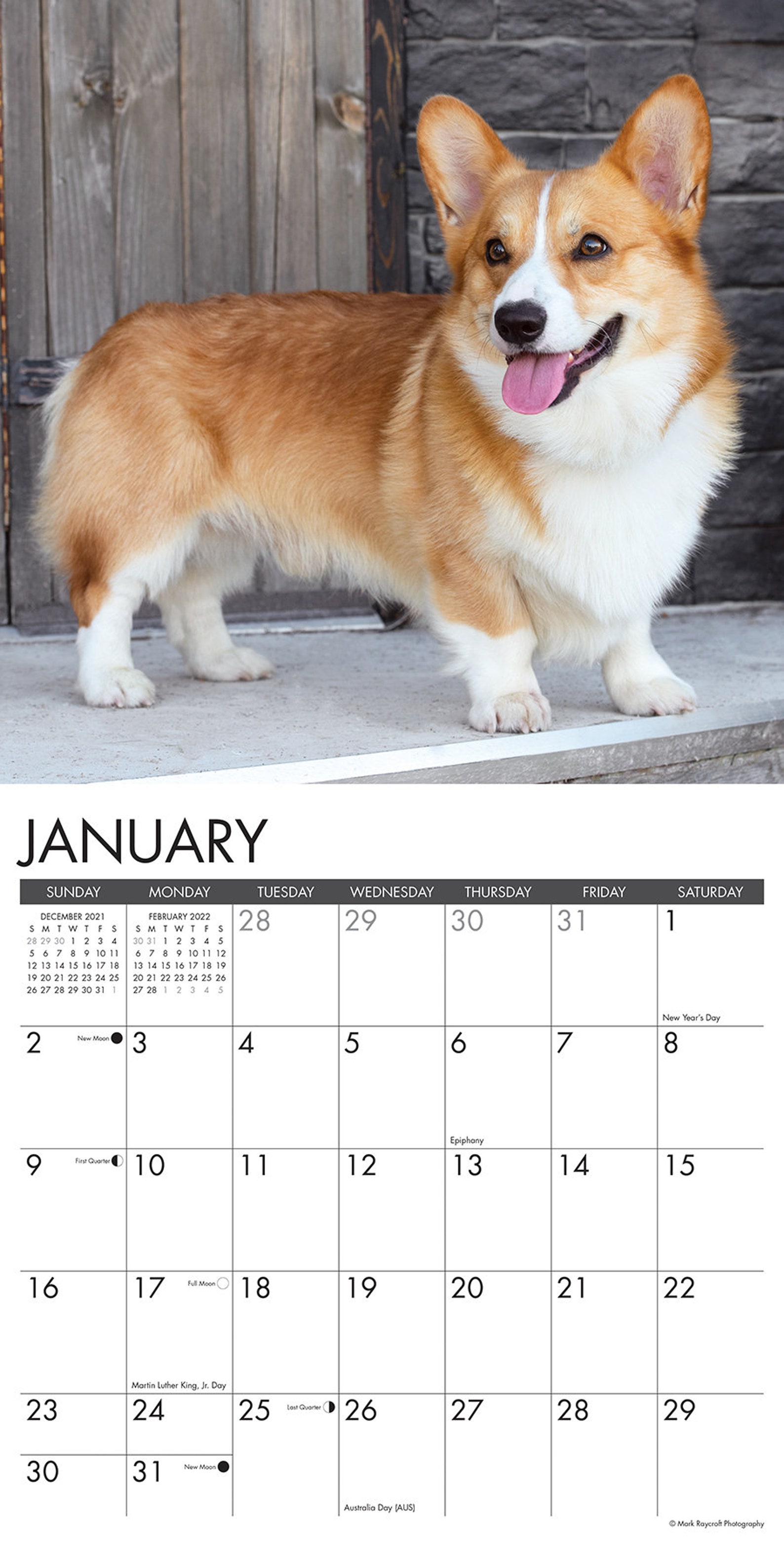 Just 2022 Wall Calendar Dogs and Puppies Dog Etsy
