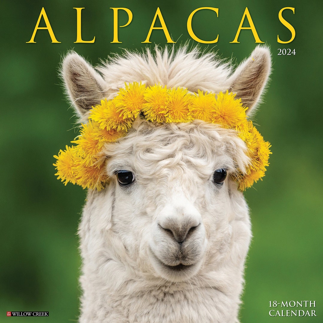 Alpacas 2024 12 X 12 Wall Calendar Etsy
