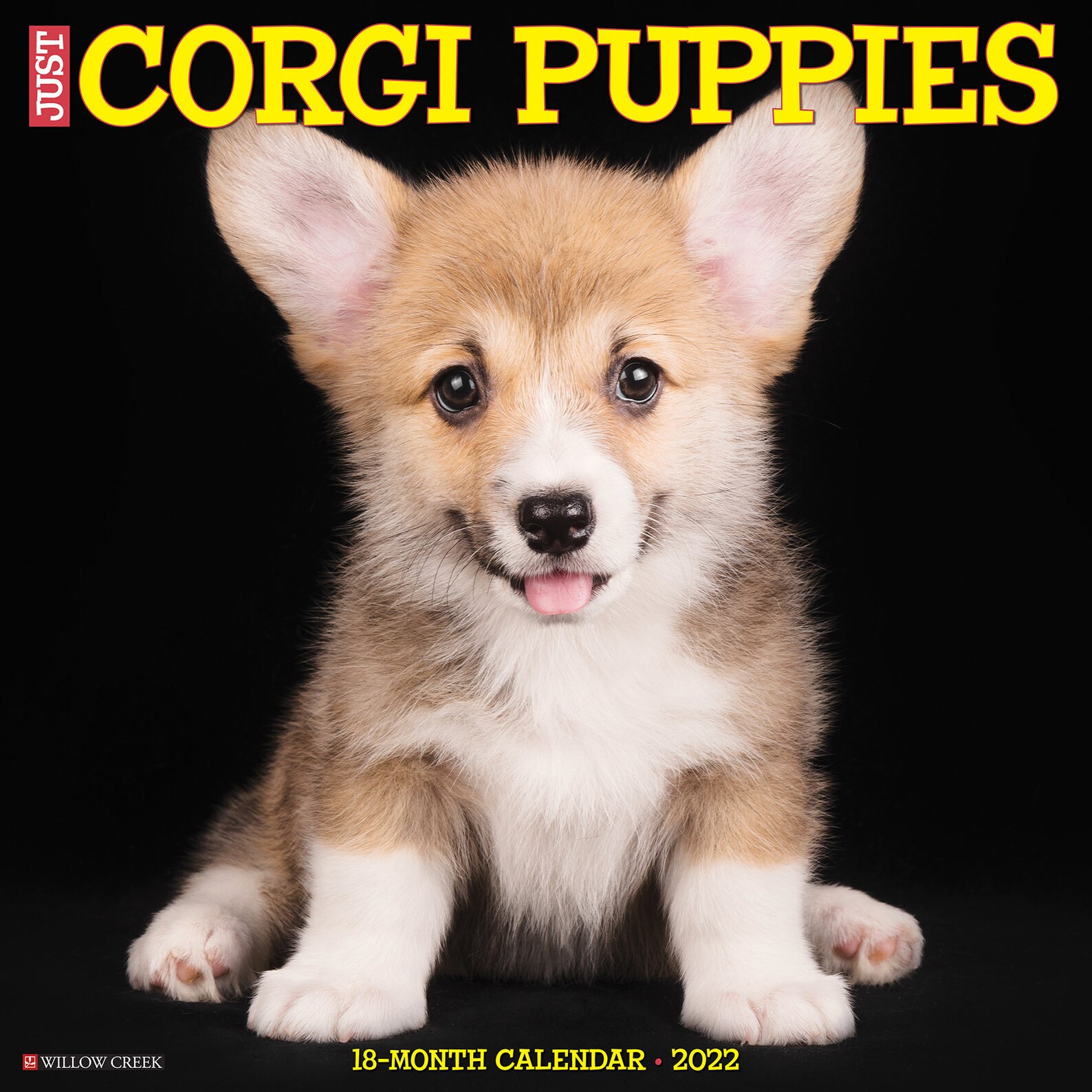 Just Corgi Puppies 2022 Wall Calendar Dog Breed | Etsy