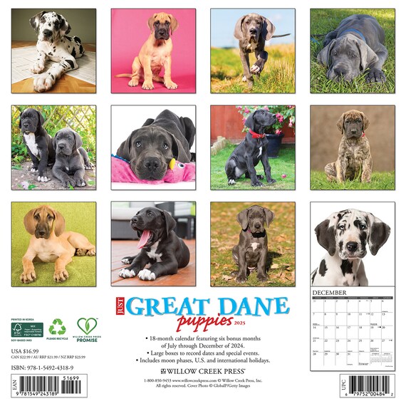 公式通販サイトセール Dane Great Puppies 12 2025 Pets&AnimalCare