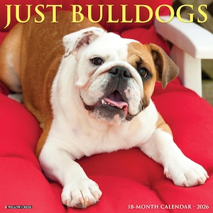 Bulldogs 2026 12&quot; x 12&quot; Wall Calendar