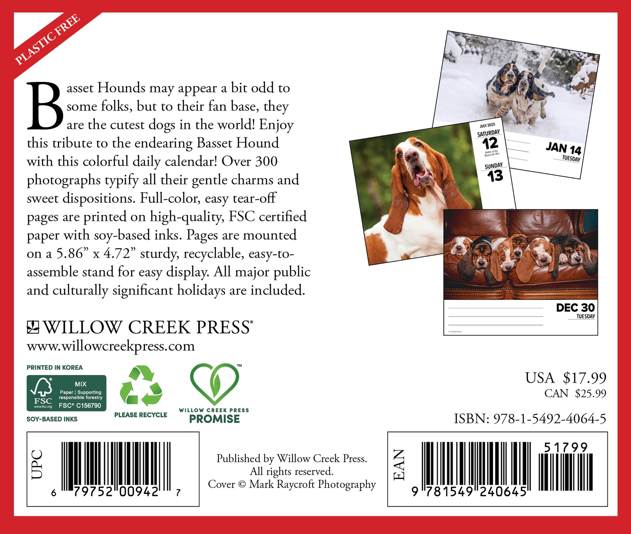 全信頼を寄せる Basset Hounds 6.2 2025 Pets&AnimalCare
