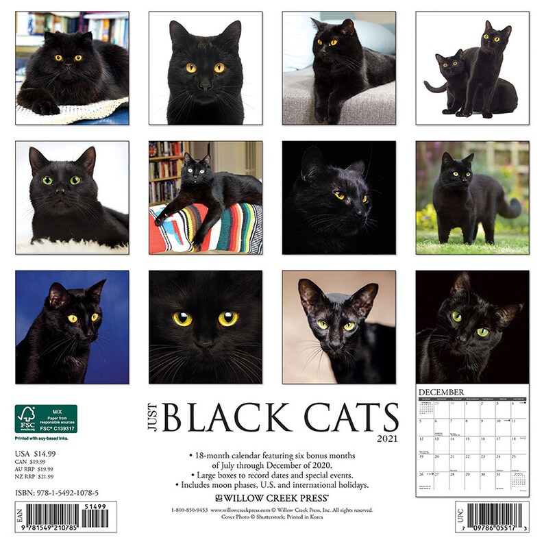 2021 Black Cats Wall Calendar Etsy