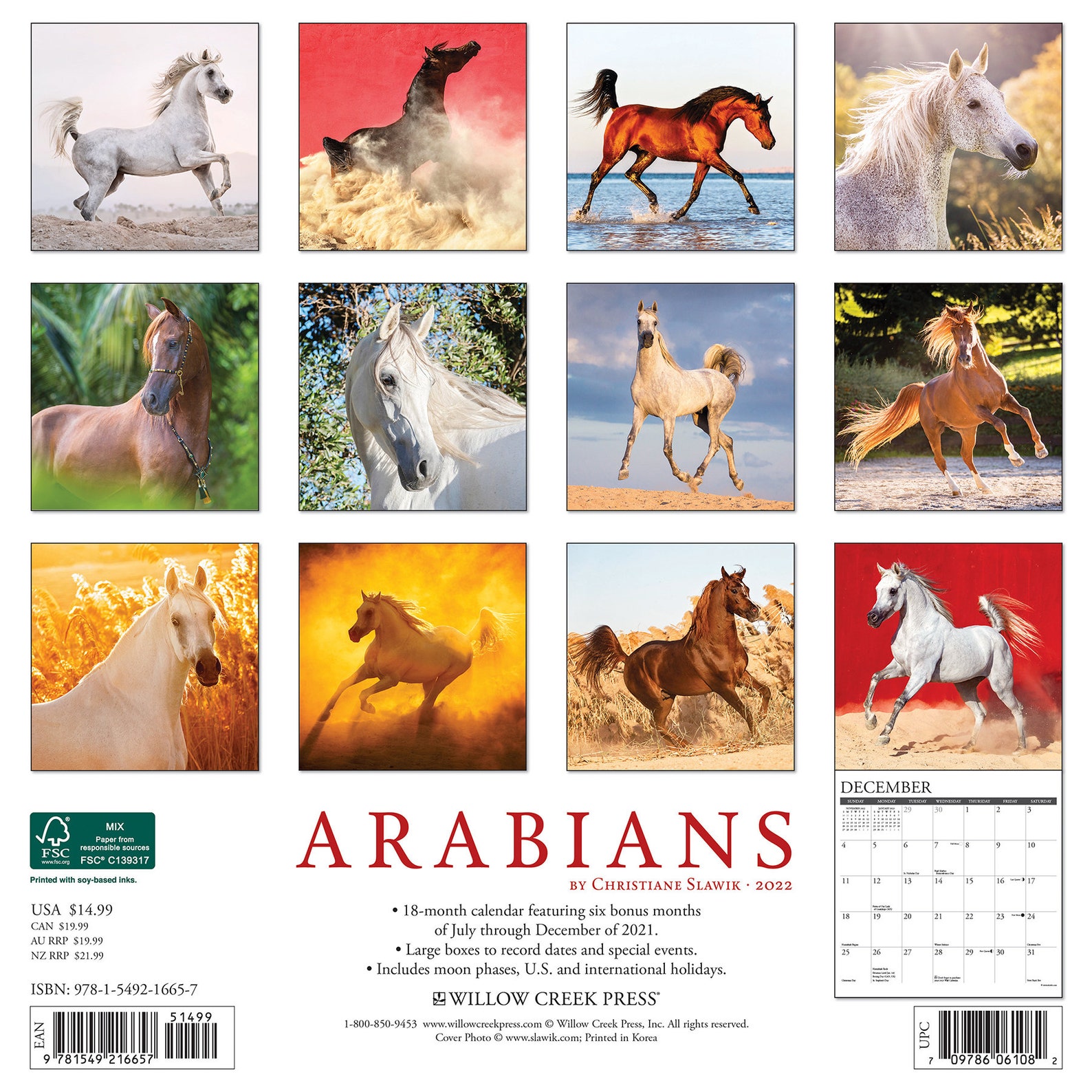 Arabian Horses 2022 Wall Calendar | Etsy