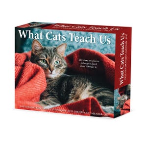 May include: A 2027 daily calendar box titled What Cats Teach Us, featuring a brown tabby cat resting in a red blanket. The text reads: The time to relax is when you don't have time for it. Life lessons from your feline friends, full color daily calendar.