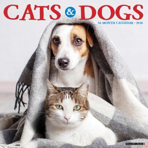 Cats & Dogs 2026 12&quot; x 12&quot; Wall Calendar