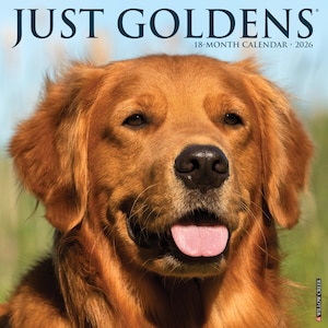 Goldens 2026 12&quot; x 12&quot; Wall Calendar