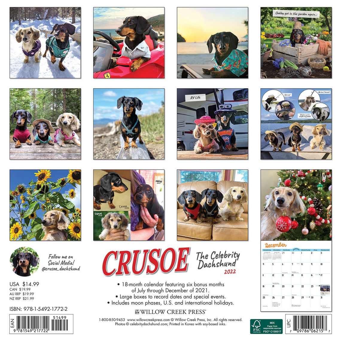Crusoe the Celebrity Dachshund 2022 Wall Calendar | Etsy Crusoe the Celebrity Dachshund 2022 Wall Calendar | Etsy