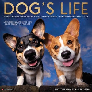 Dog&#39;s Life 2026 12&quot; x 12&quot; Wall Calendar