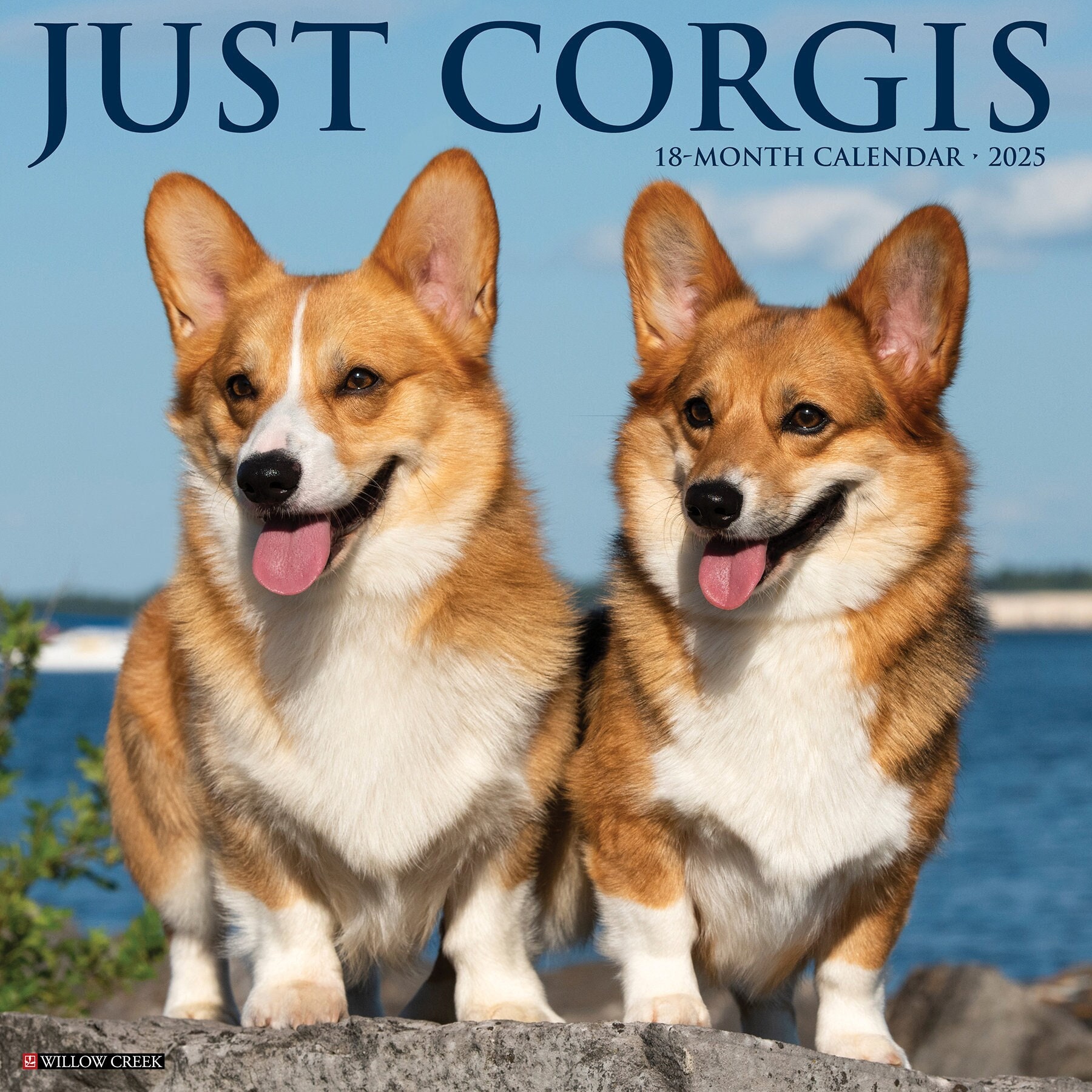 Breed Corgi Cow Herding Cardigan Welsh Corgi Herding Cattle Corgi - Main Image