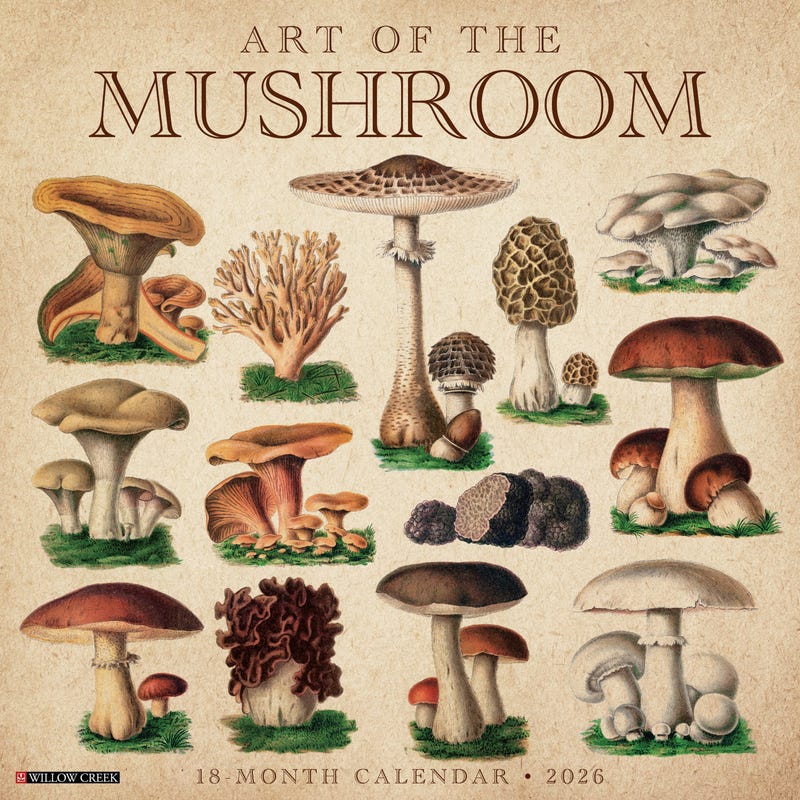 2026 Mushroom Calendars Etsy