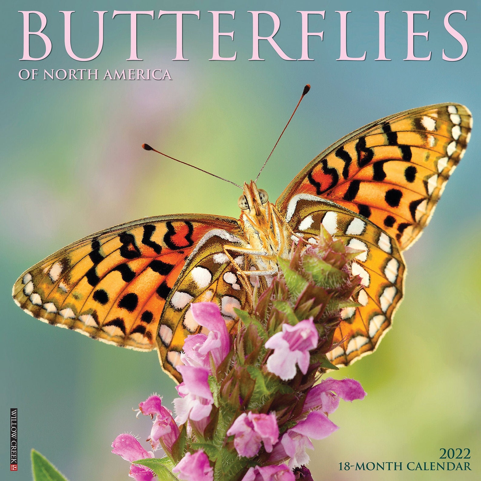 Butterflies 2022 Wall Calendar Etsy