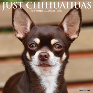 Chihuahuas 2026 12&quot; x 12&quot; Wall Calendar