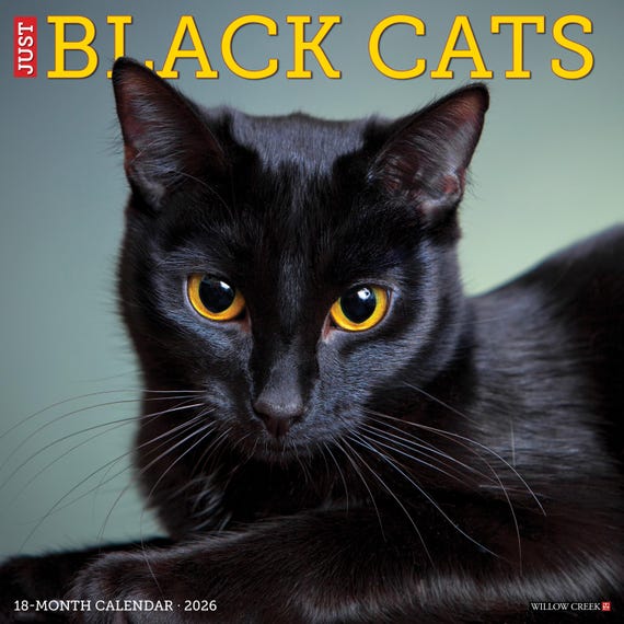 Baker And Bray Cats Calendar 2025, Large Square Wall Calendar, 16 Onth