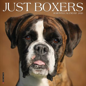 Boxers 2026 12&quot; x 12&quot; Wall Calendar