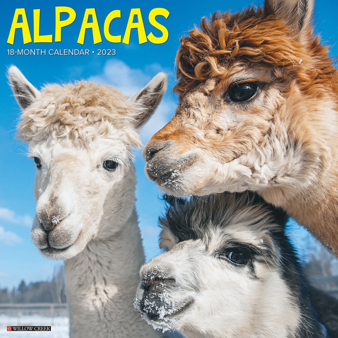 Alpacas 2025 12 X 12 Wall Calendar Etsy