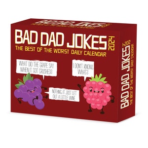 Bad Dad Jokes 2024 6.2" x 5.4" Box Calendar