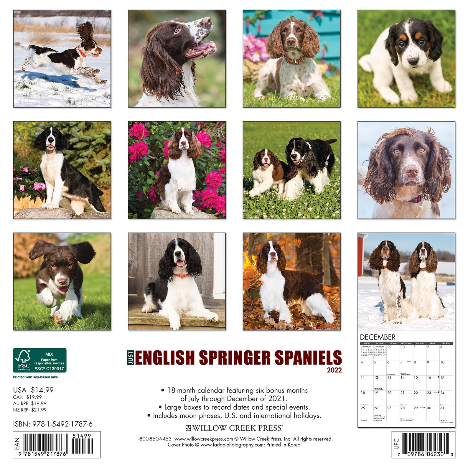 just-english-springer-spaniels-2022-wall-calendar-dog-breed-etsy