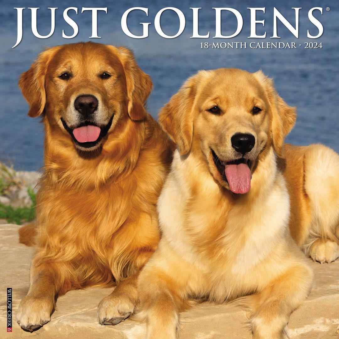 Just Goldens 2024 12 X 12 Wall Calendar Etsy