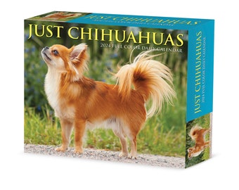 Chihuahuas 2024 6.2" x 5.4" Box Calendar