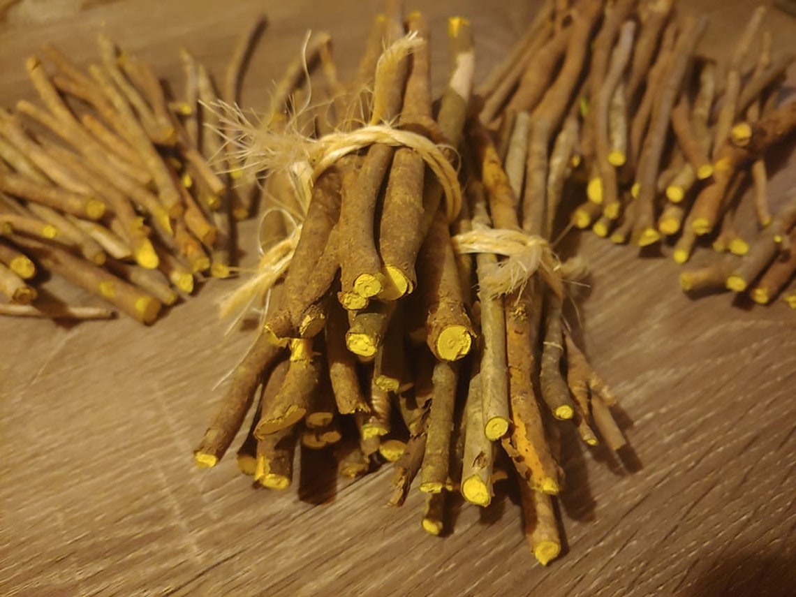 Yellow Root Stems Xanthorhiza Simplicissima Berberine Etsy