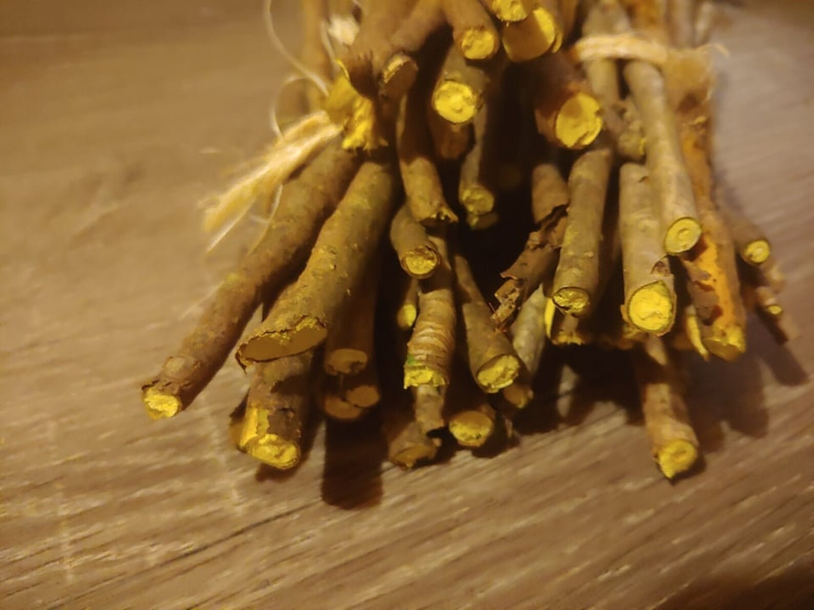 Yellow Root Stems Xanthorhiza Simplicissima Berberine Etsy