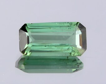 GSI Certified Natural Verdelite Tourmaline Octagon Cut Ct