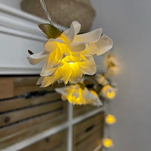 Könnte beinhalten: Eine Lichterkette aus weißen Stoffblumen mit warmweißen LED-Lampen. Die Lichter sind an einem Draht befestigt und hängen an einem Holzregal.